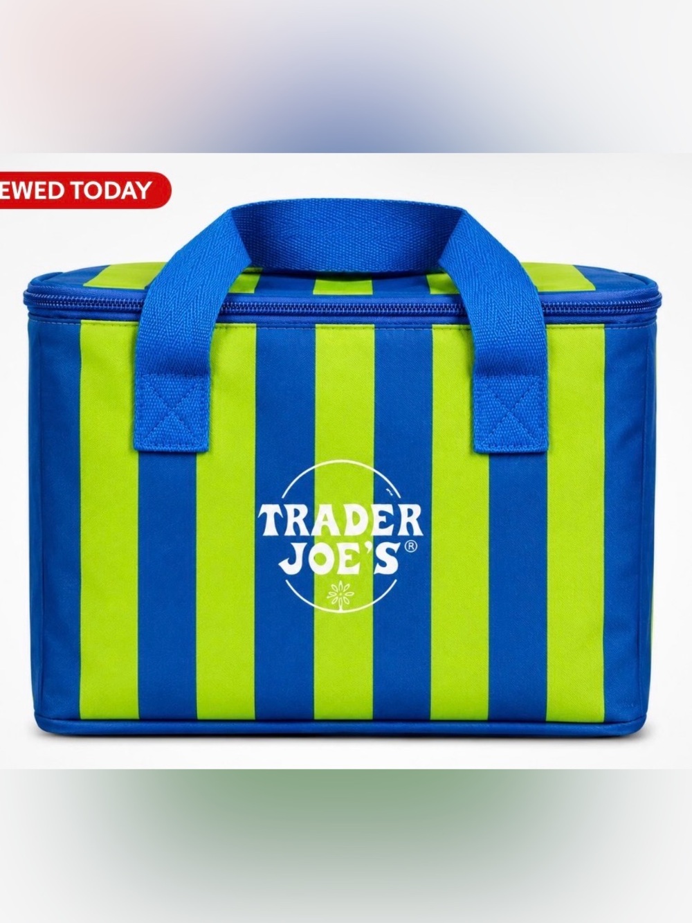 NWT Trader Joe's Striped Mini Insulated Tote